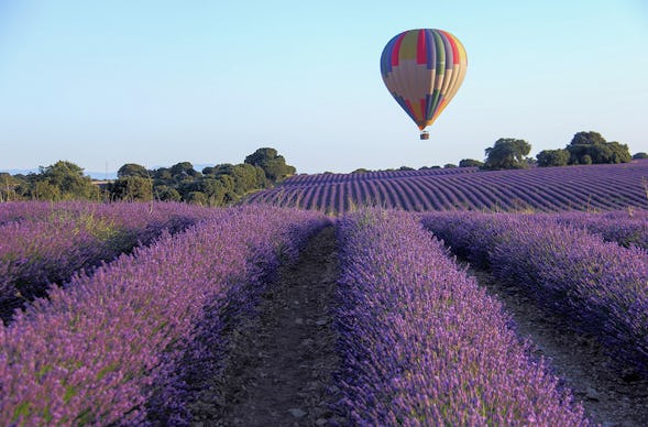 Ballonfahren Norddeutschland